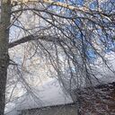 ���������� �����������, ���� ������� ����, 25 ���, ������������ ��� ���������