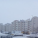 ���������� ������, ���� ������� �����, 44 ����, ������������ ��� ������, ����� � ���������, c�������� ���������