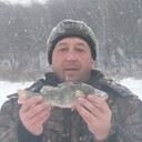 ���������� ������ ��������, ���� ������� �������, 41 ���, ������������ ��� ����� � ���������, c�������� ���������