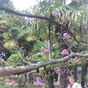 ���������� �����-���������, ���� ������� ������, 63 ����, ������������ ��� ����� � ���������, c�������� ���������