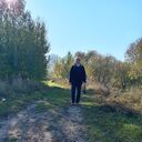  ,   , 73 ,   ,   