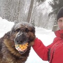  ,   , 34 ,     , c , 