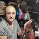 ���������� �����, ���� ������� ���������, 44 ����, ������������ ��� ������, ����� � ���������, c�������� ���������