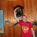 ���������� �����, ���� ������� �������, 36 ���, ������������ ��� ����� � ���������, c�������� ���������