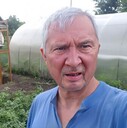  ,   Hallygally, 39 ,   ,   