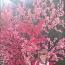 ���������� ����������� ����, ���� ������� ������, 56 ���, ������������ ��� ������, ����� � ���������, c�������� ���������