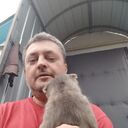  ,   , 44 ,   ,   