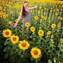 ���������� ������, ���� ������� �������, 31 ���, ������������ ��� ����� � ���������, c�������� ���������