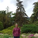 ���������� ������, ���� ������� ������, 36 ���, ������������ ��� ������, ����� � ���������, c�������� ���������, ���������