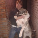  ,   Mishka, 37 ,   ,   , c 