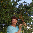  ,   , 65 ,  