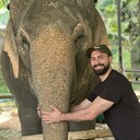 ���������� Beirut, ���� ������� Jad, 28 ���, ������������ 