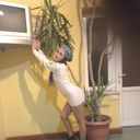  ,   Gayane, 30 ,   ,   , c 
