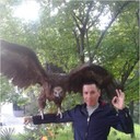 ���������� �������, ���� ������� Olimpik, 40 ���, ������������ ��� ������, ����� � ���������, c�������� ���������