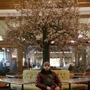  ,   , 29 ,   c 