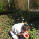 ���������� ����, ���� ������� ����, 38 ���, ������������ ��� ������