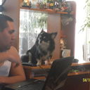  ,   , 43 ,   ,   , c 