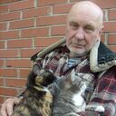 ���������� ������, ���� ������� ���������, 72 ����, ������������ ��� c�������� ���������