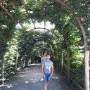  ,   , 33 ,   ,   , c 