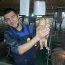 ���������� ��������, ���� ������� ������, 29 ���, ������������ ��� ������, ����� � ���������, c�������� ���������