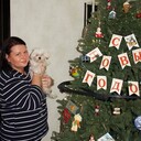 ���������� �����������, ���� ������� ����, 42 ����, ������������ ��� ����� � ���������, c�������� ���������