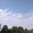 ,   , 55 ,   