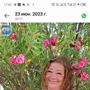  -,   , 55 ,   ,   