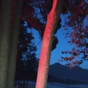 ���������� �����-�������, ���� ������� �������, 40 ���, ������������ ��� ����� � ���������, c�������� ���������