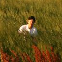  ,   GOQOR, 31 ,  