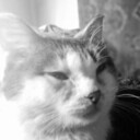  ,   , 26 ,     , c , 
