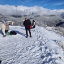  ,   , 37 ,   ,   , c 