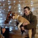 ���������� ������, ���� ������� �������, 37 ���, ������������ ��� ����� � ���������, c�������� ���������