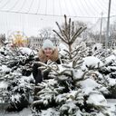 ���������� ������, ���� ������� ������, 58 ���, ������������ ��� c�������� ���������, ���������