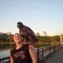 ���������� ������, ���� ������� ����, 36 ���, ������������ ��� ������, ����� � ���������, c�������� ���������