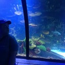  ,   Nazar, 34 ,   ,   , c 