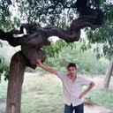   ,   , 48 ,   ,   , c 