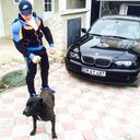 ���������� ������, ���� ������� ����, 36 ���, ������������ ��� ����� � ���������, c�������� ���������