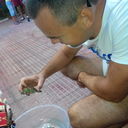 ���������� �����, ���� ������� �������, 35 ���, ������������ ��� ������, ����� � ���������, c�������� ���������