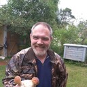 ���������� �����-���������, ���� ������� �������, 50 ���, ������������ ��� ������, ����� � ���������, c�������� ���������