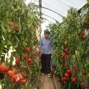 ���������� �������, ���� ������� ���������, 64 ����, ������������ ��� ����� � ���������, c�������� ���������