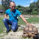 ���������� �������, ���� ������� ����, 45 ���, ������������ ��� ������, ����� � ���������, c�������� ���������