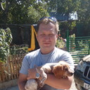 ���������� �����������, ���� ������� �������, 44 ����, ������������ ��� ������, ����� � ���������, c�������� ���������