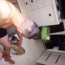 ���������� �����, ���� ������� ����, 31 ���, ������������ ��� ������, ����� � ���������