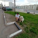  ,   , 53 ,  