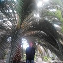  ,   , 51 ,   ,   , c 