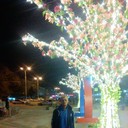 ���������� ������-��-����, ���� ������� ����, 48 ���, ������������ ��� ������, ����� � ���������, c�������� ���������