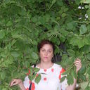  ,   Ann, 54 ,   ,   , c 