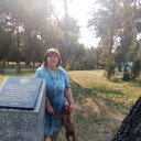 ���������� ����, ���� ������� �������, 45 ���, ������������ ��� ������, ����� � ���������, c�������� ���������