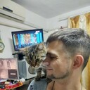  ,   , 31 ,     , c , 