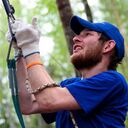 ���������� �����, ���� ������� ���������, 33 ����, ������������ ��� ����� � ���������, c�������� ���������